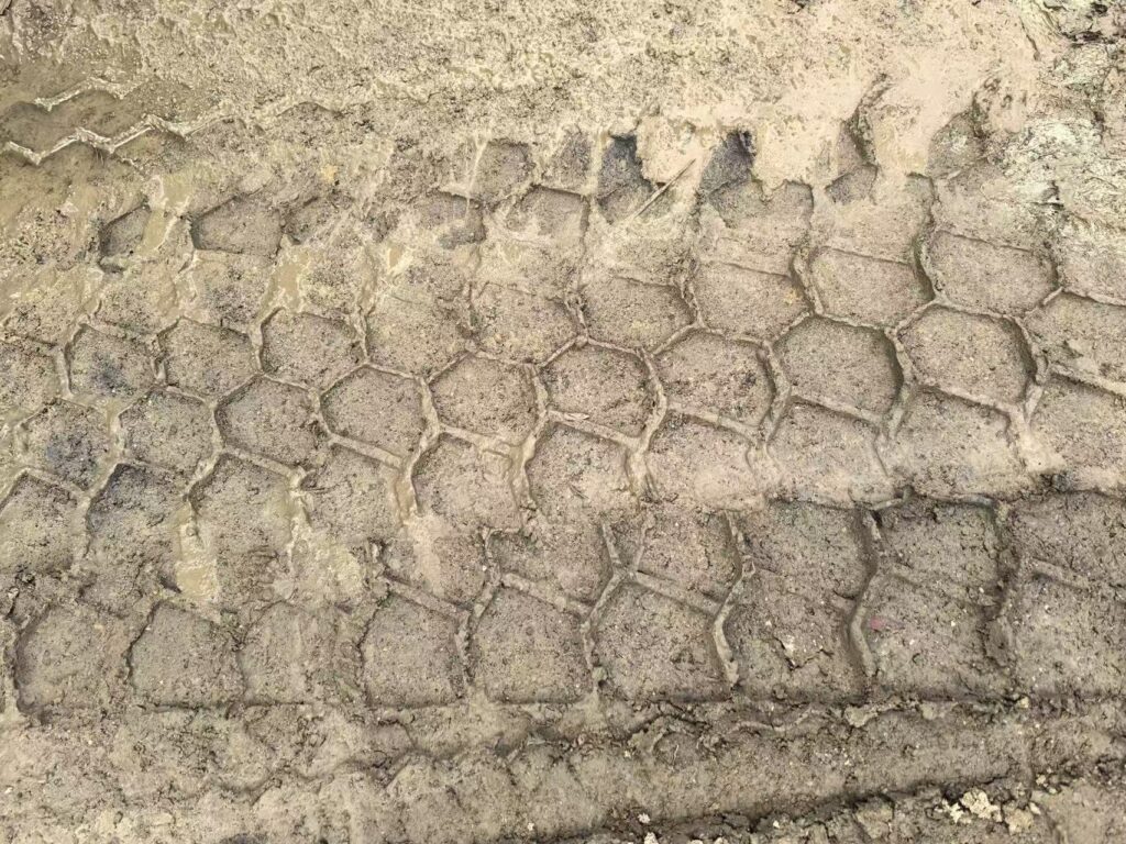 Deepening Our Presence in Vietnam: Excellence Forged by Field Insights