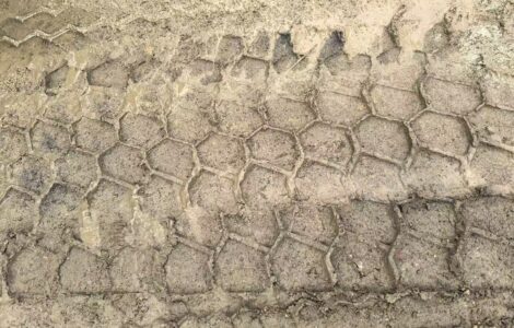 Deepening Our Presence in Vietnam: Excellence Forged by Field Insights